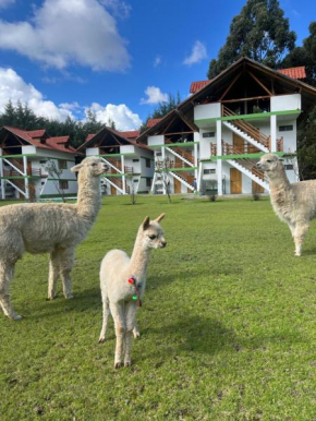 RESORT ALAPA